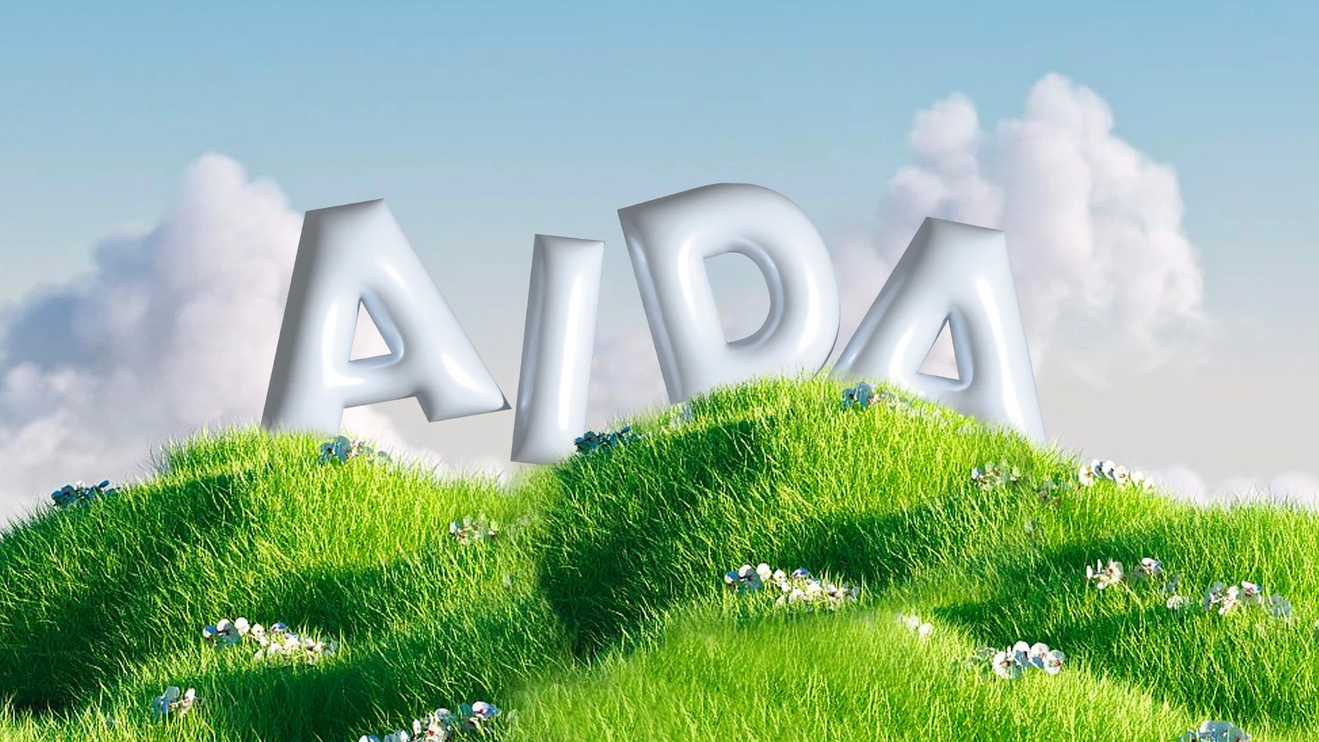 AIDA How to